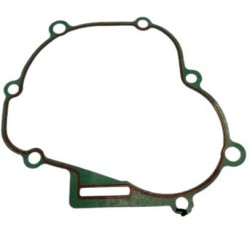 Garnitur original de garnituri motor Parsun 4CP F4-04000002