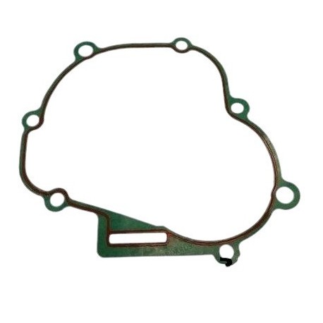 Garnitur original de garnituri motor Parsun 4CP F4-04000002