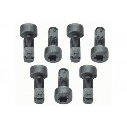 Set șuruburi volant Volvo 30680646